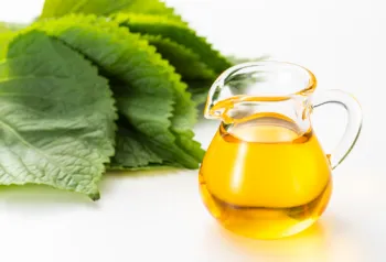 국산 들깨 1말 가격&amp;#44; 들깨의 효능과 영양성분