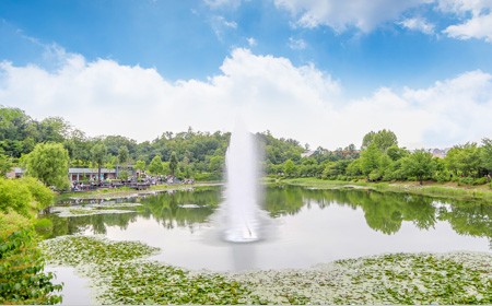 서울 단풍 명소 베스트 6