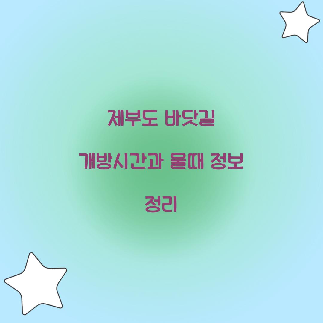 제부도 바닷길 개방시간