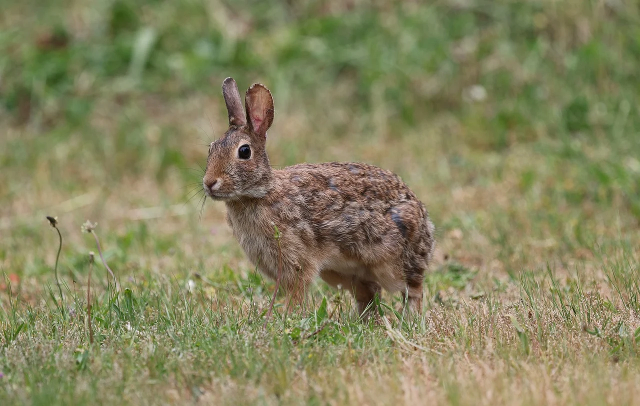 기초생활수급자