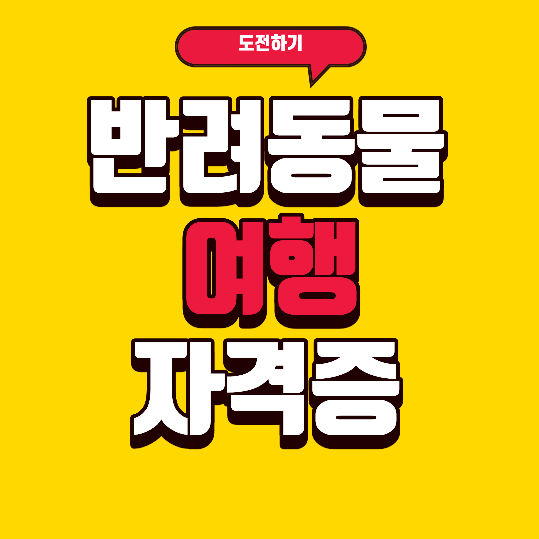 반려동물 여행 자격증