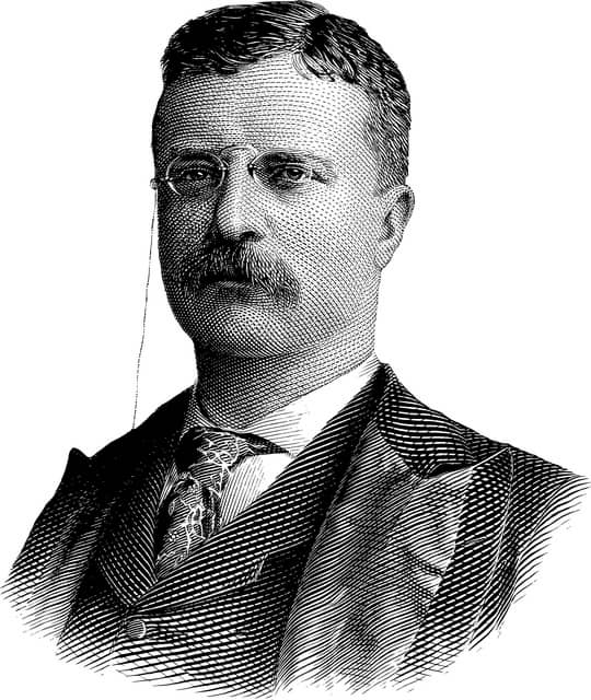 루즈벨트 대통령