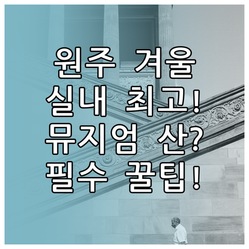 겨울 원주 여행 필수 코스 소금산 뮤..