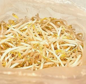 숙주나물의 효능 부작용 요리 고르는법