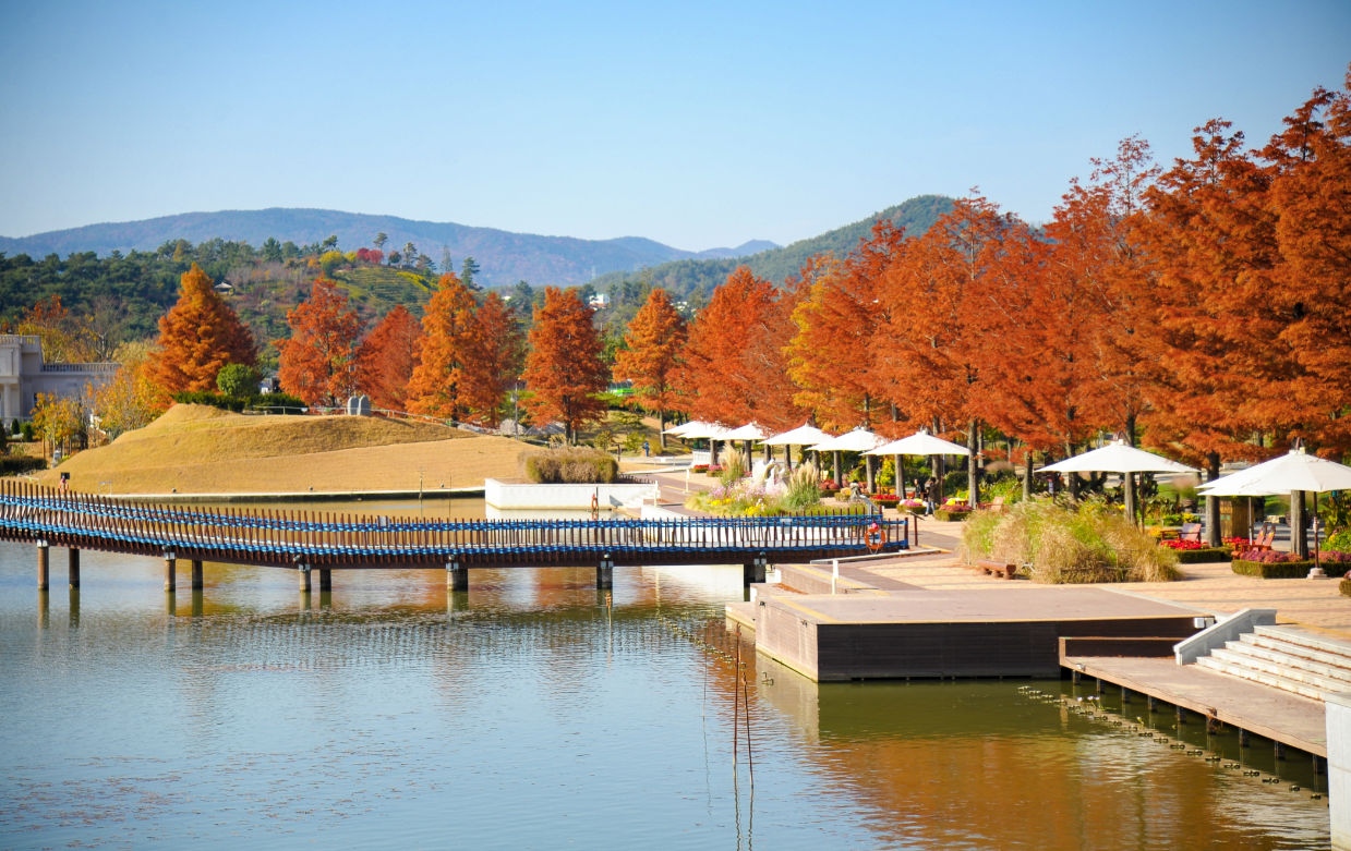 순천만 국제정원 박람회