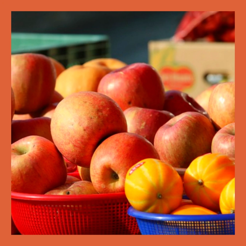 온누리상품권-부정유통