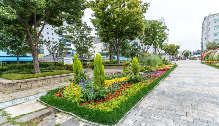 생생정보 강릉 택시맛객