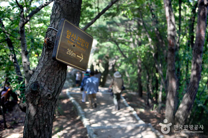 대구 가볼만한 곳 베스트 대구앞산공원