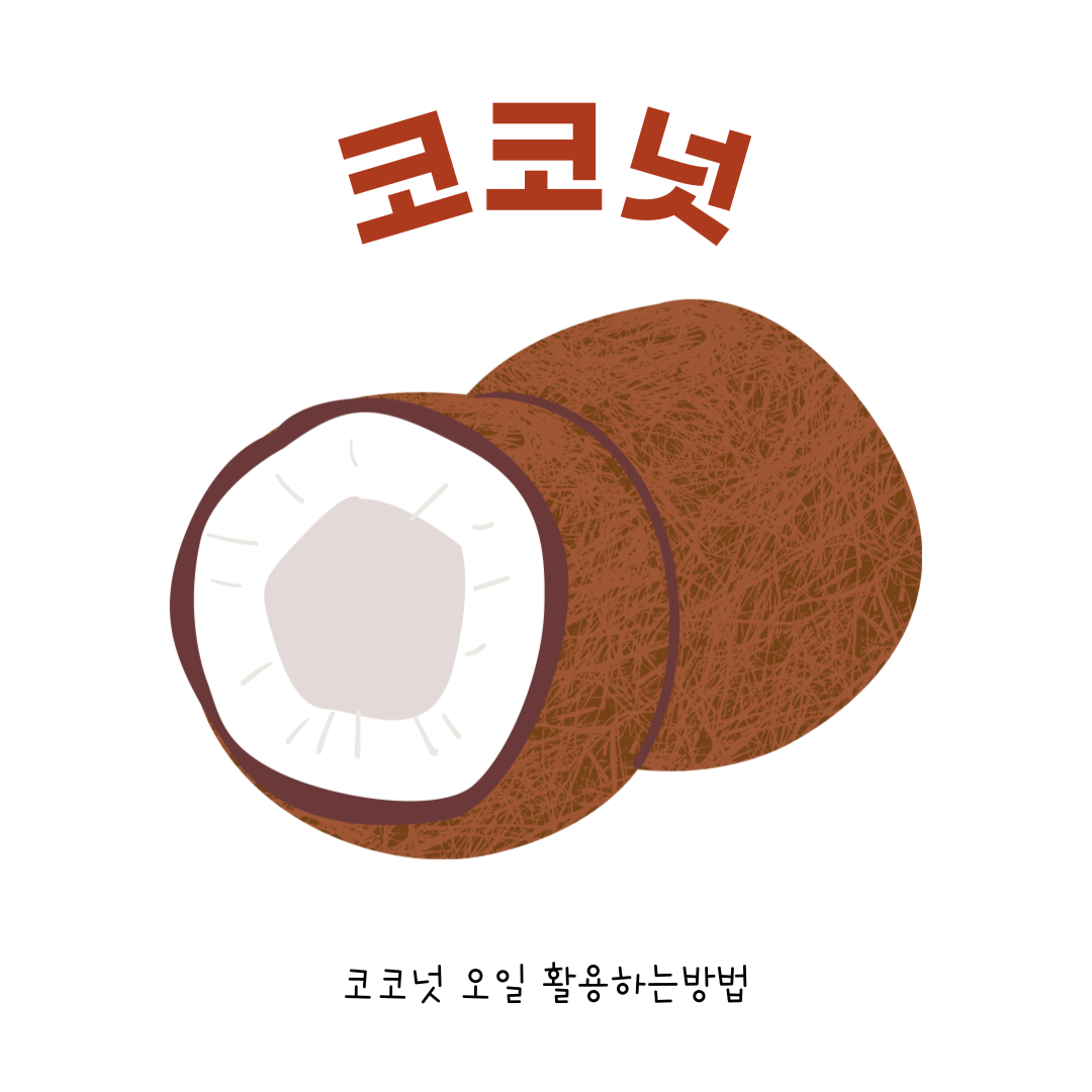 코코넛이미지