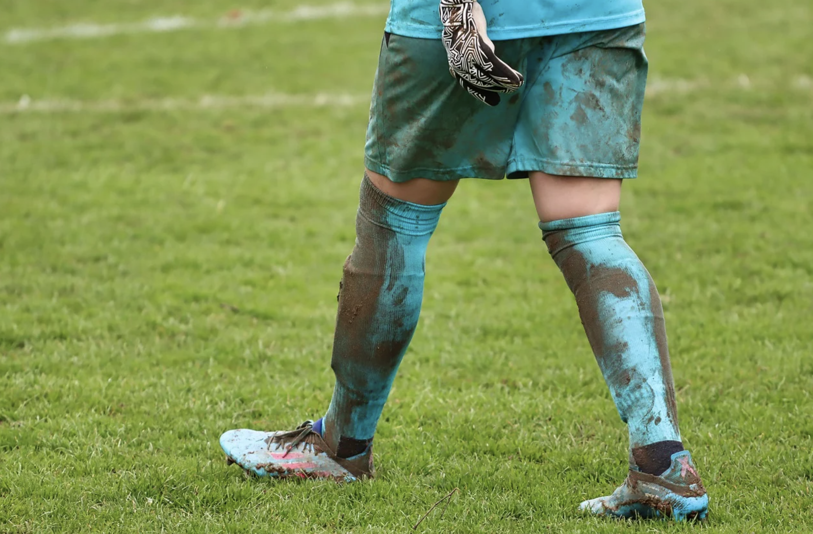 축구 감독 라이벌 관련 이미지
