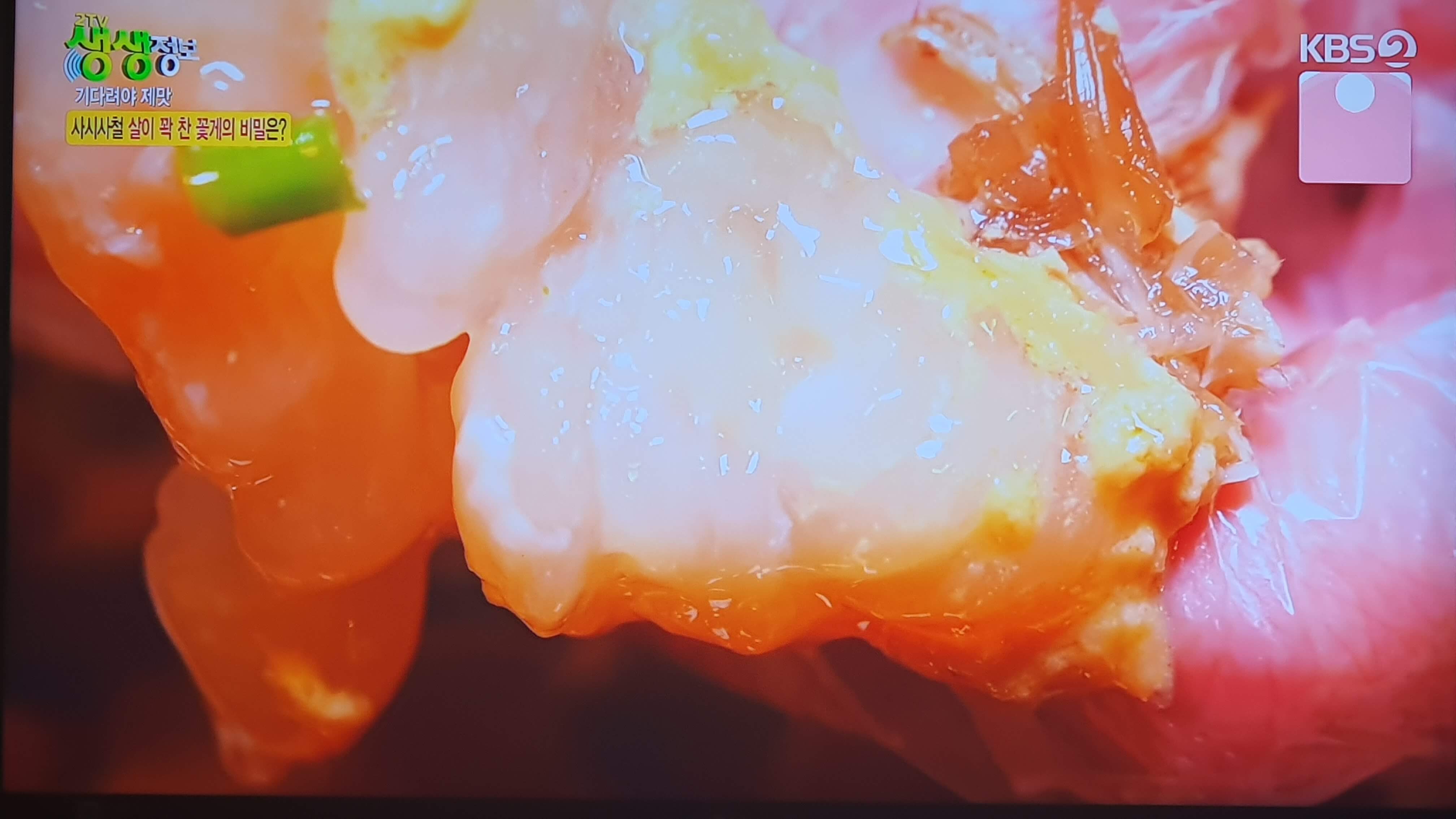 생생 정보통 맛집 식당 정보