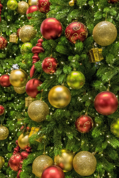 크리스마스 트리의 모습