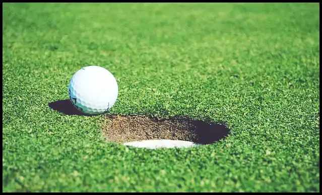 파크골프의 기본자세 (+ 퍼터 )