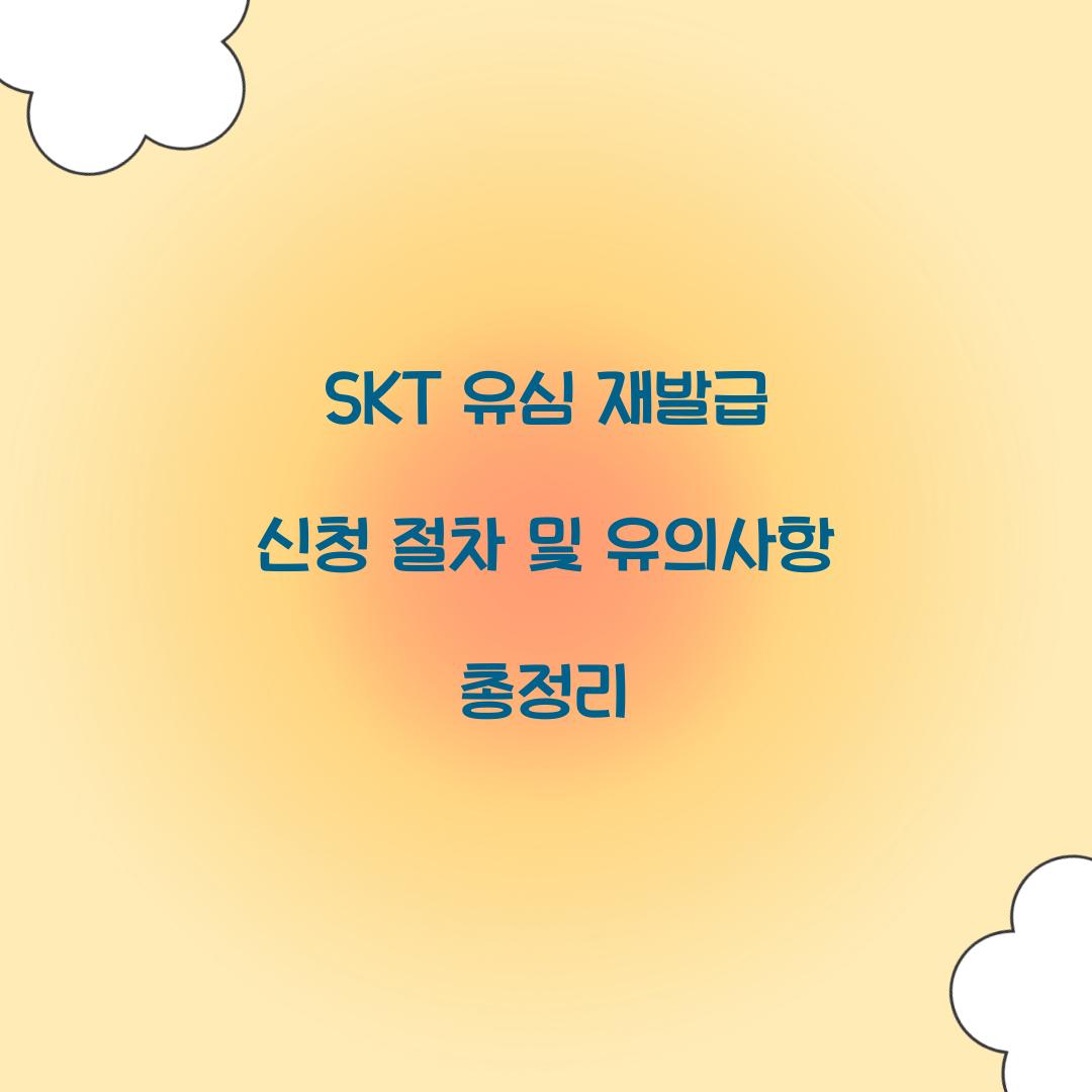 SKT 유심 재발급