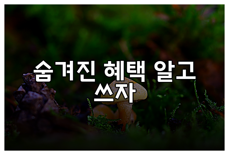 숨겨진 혜택 알고 쓰자