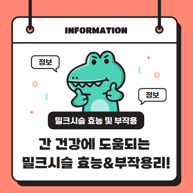 간 건강에 도움되는 밀크시슬 효능&amp;부작용 총정리!