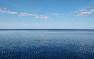 인터넷 전입신고 필요서류