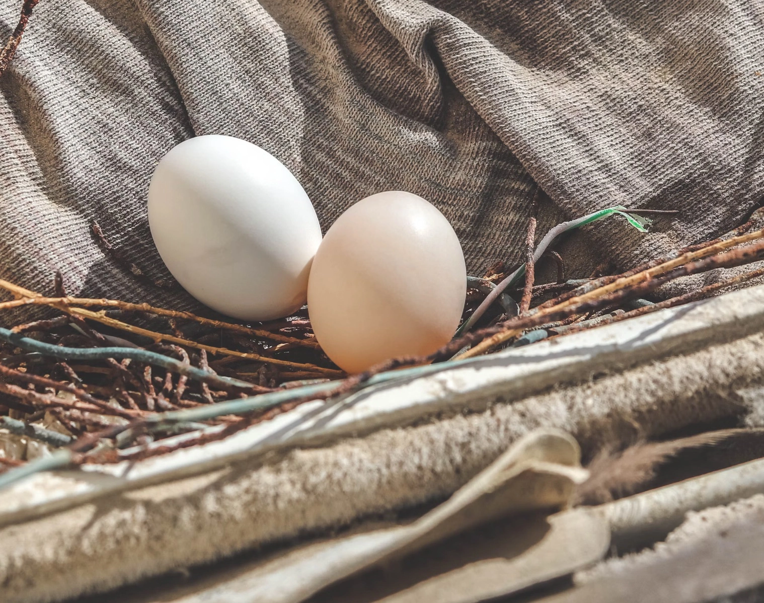 계란 난각번호 보는법