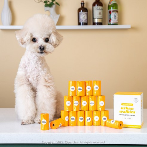 풉백 고르는 법, 추천정보