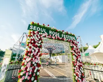 중랑 서울 장미축제_3