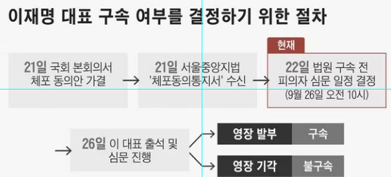 체포동의안 가결 이후 절차