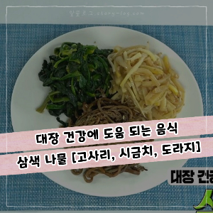 대장 건강에 도움 되는 음식, 삼색 나물 ( 고사리, 시금치, 도라지 )