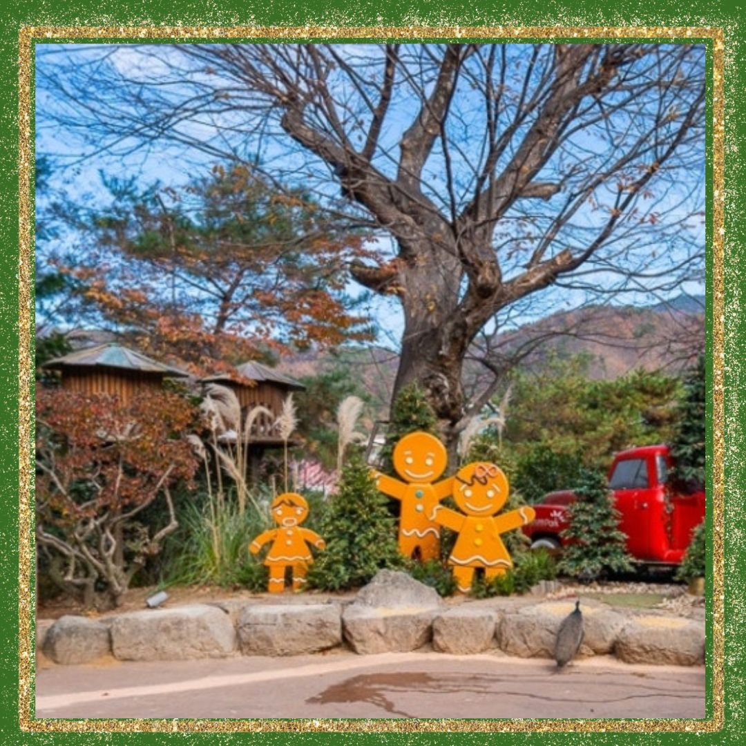 대구/네이처파크/미라클/크리스마스 