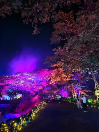 제주 야경 명소 추천 드라이브 코스와 뷰 포인트 안내_18