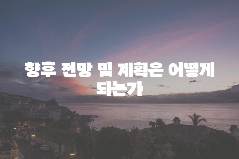 향후 전망 및 계획은 어떻게 되는가