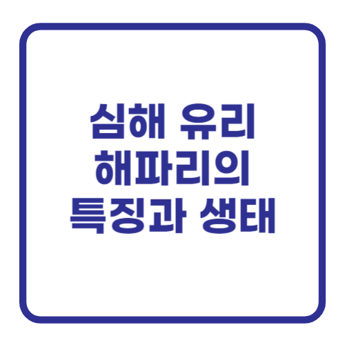 심해 유리 해파리의 특징과 생태