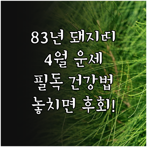 83년생 돼지띠를 위한 2026년 4..