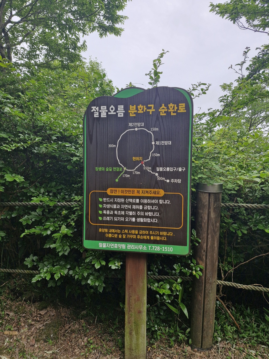 절물오름 분화구 순환로 코스