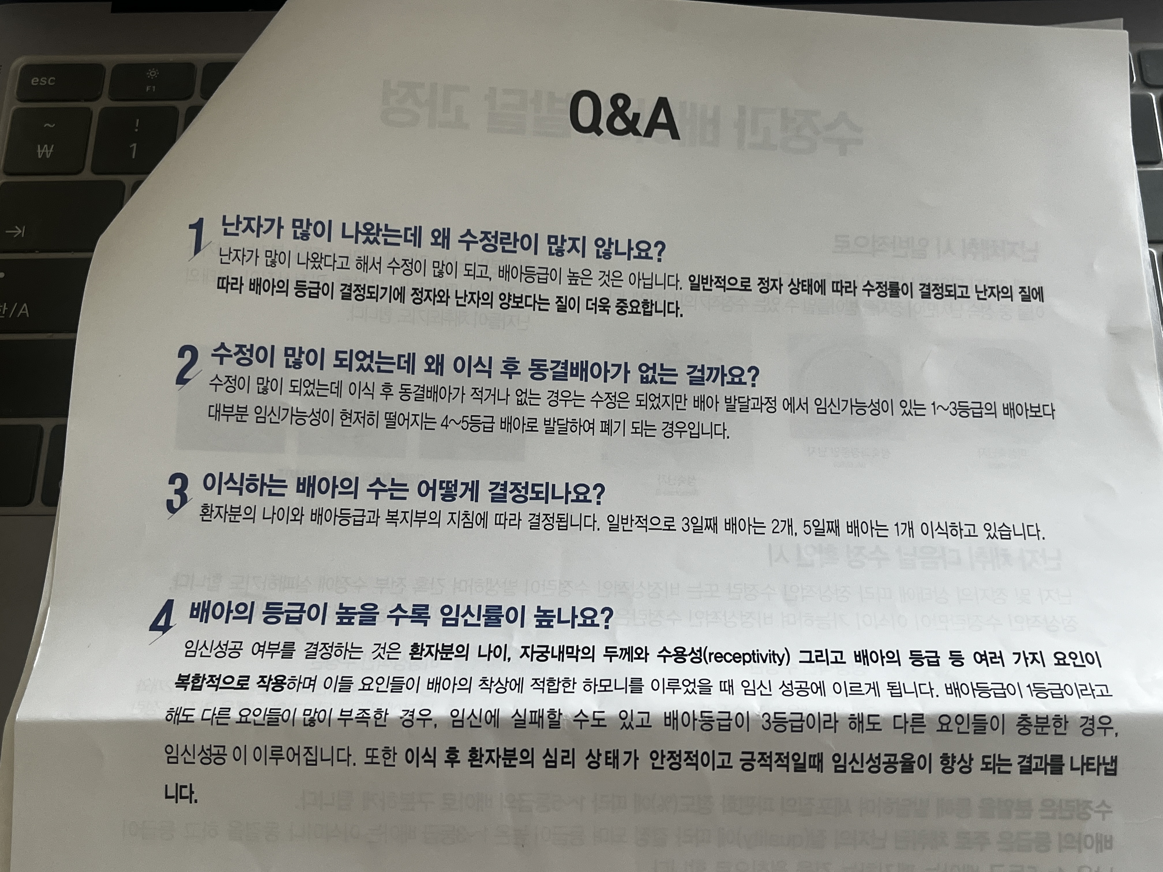 수정란