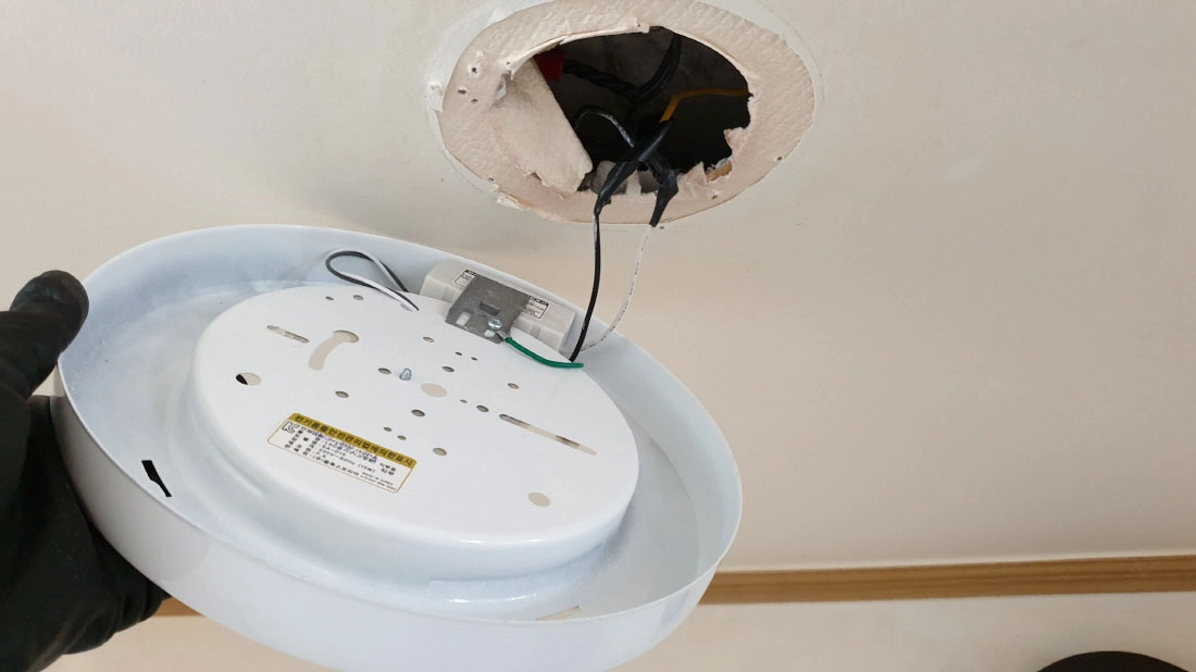 직부등 뗀 모습