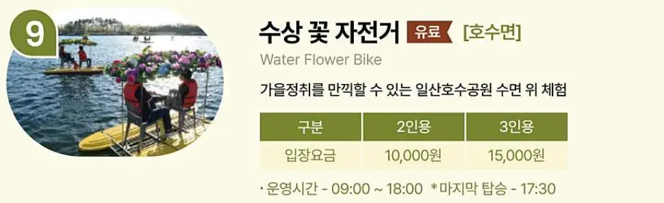 고양가을꽃축제