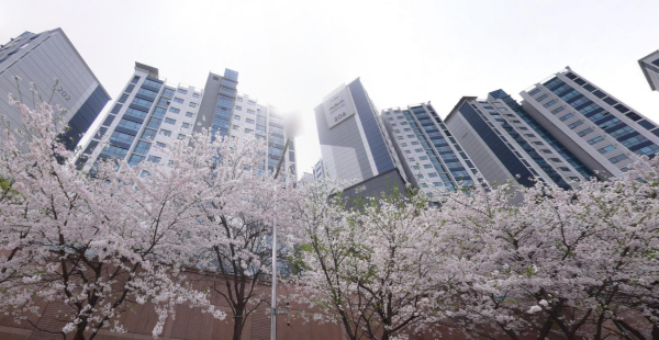 단지전경2