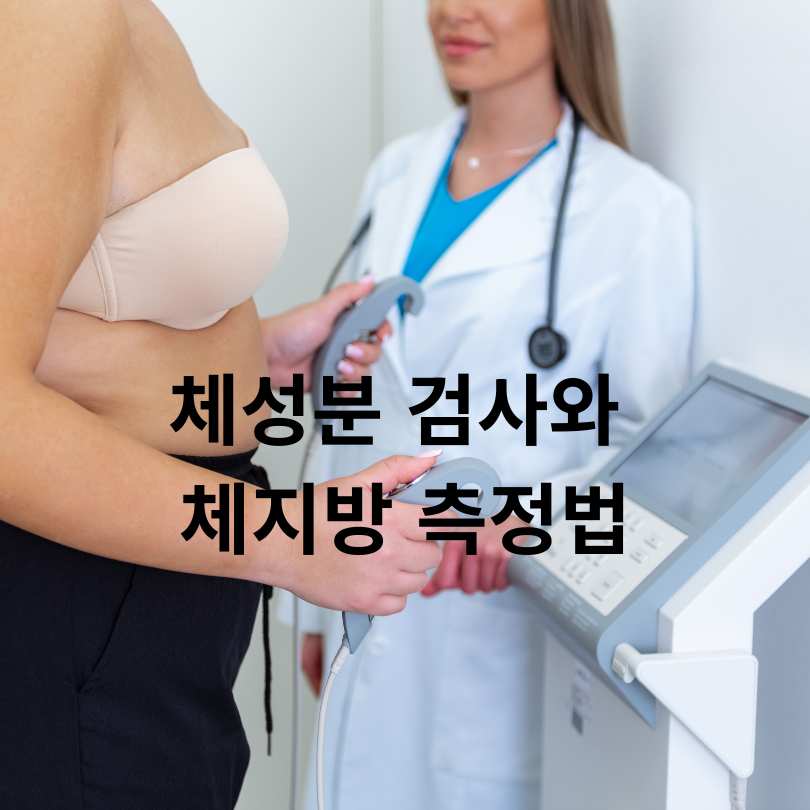 체지방량 정상범위&amp;#44; 남녀별 건강 수치와 관리 방법