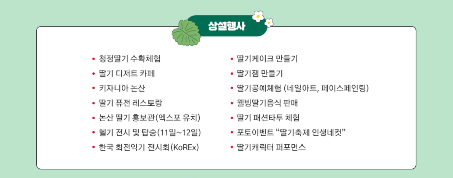 논산딸기축제