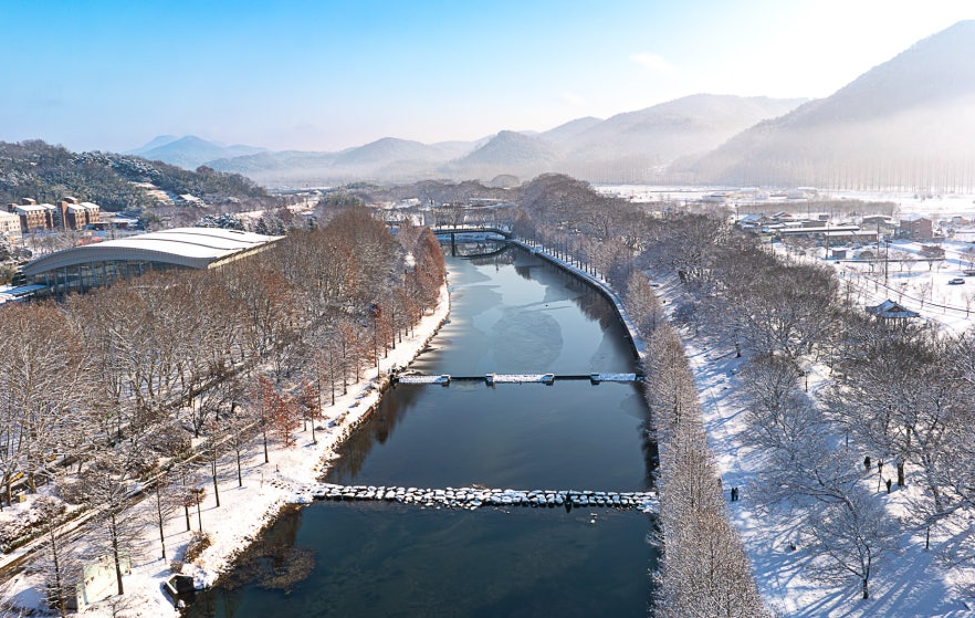 담양 관방제림 겨울