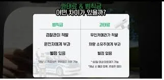 과태료와 범칙금의 차이