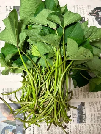 고구마순 볶음 레시피 꿀팁 레시피_19