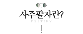 2024년 무료 운세 사이트