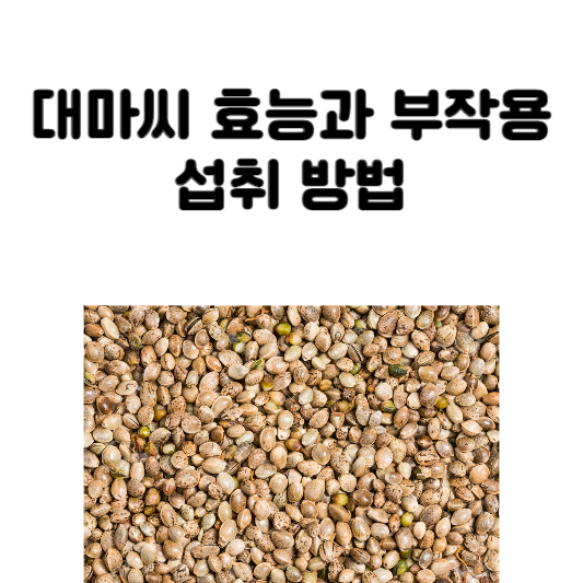 대마씨 효능과 부작용 및 섭취 방법