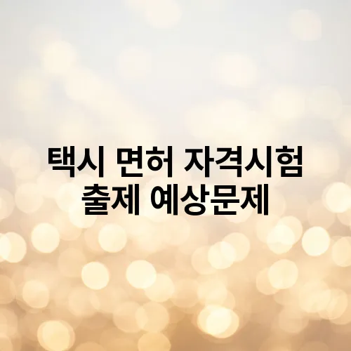 택시 면허 자격시험 출제 예상문제