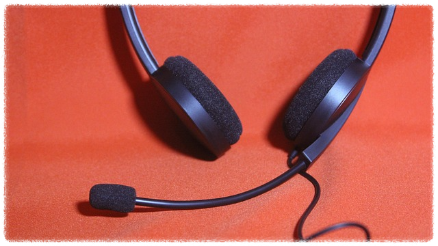 무료 음원 사이트의 음악은 아무 데나 써도 되나요?