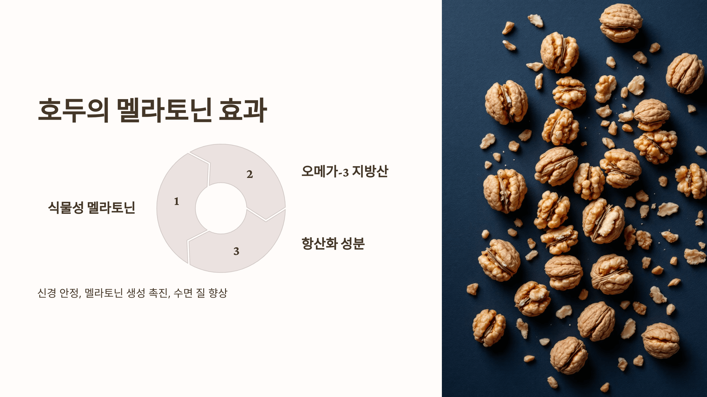 멜라토닌과 관련된 사진입니다.