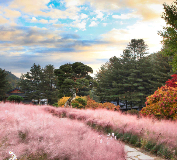 아침고요수목원