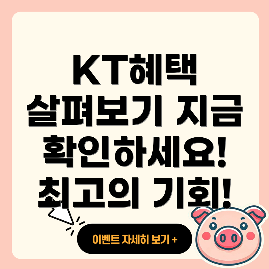KT 인터넷 혜택