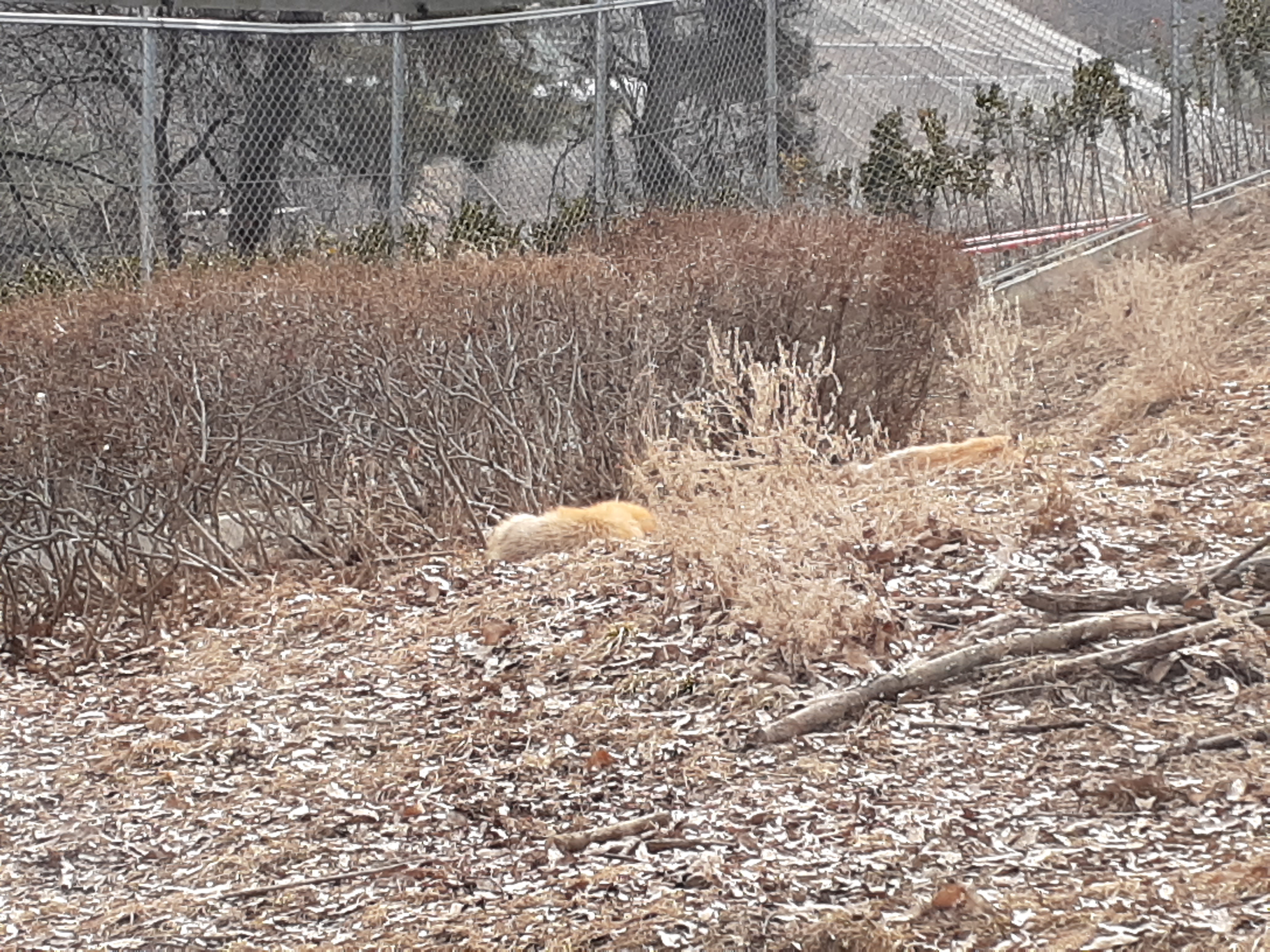 청주동물원