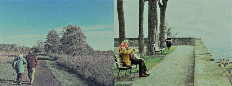 노약자-운동법